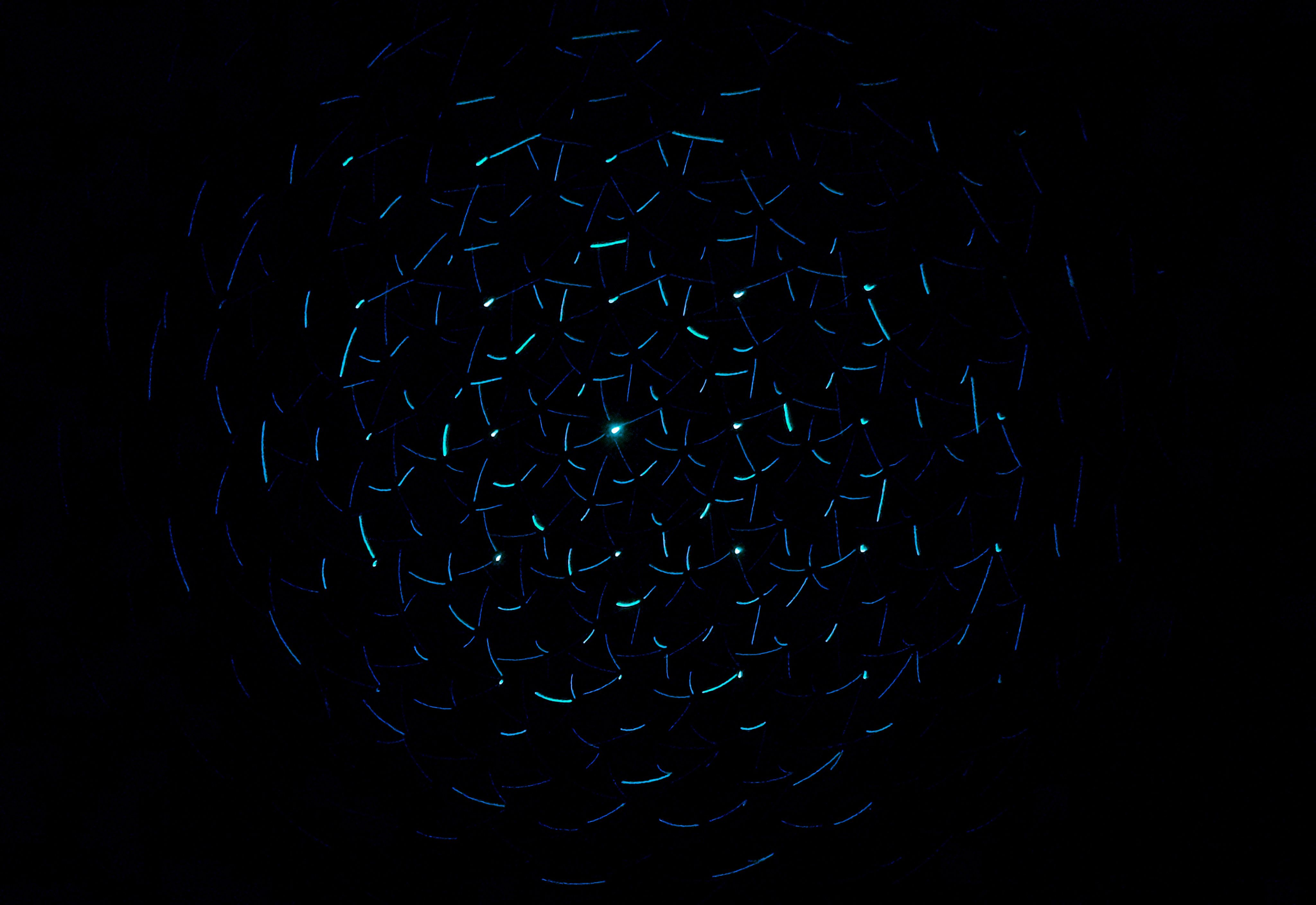 light decorations in dark area